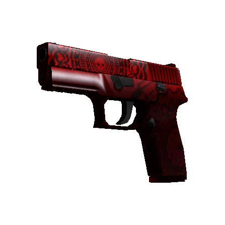 P250(StatTrak™) | 死亡轮回 (久经沙场)