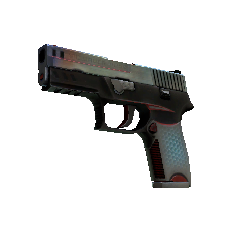 P250(StatTrak™) | 赛博先锋 (破损不堪)