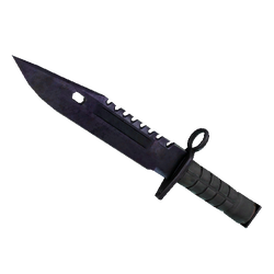 M9 刺刀（★ StatTrak™） | 蓝钢 (战痕累累)