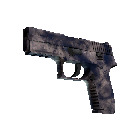 P250(纪念品) | 天旱 (略有磨损)