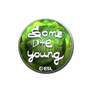 印花 | sdy(闪亮)| 2019年卡托维兹锦标赛