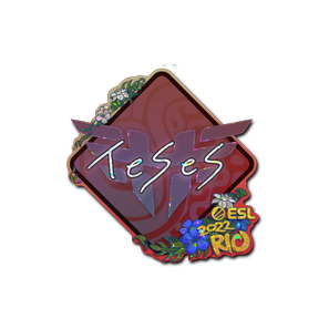 印花 | TeSeS(闪耀)| 2022年里约热内卢锦标赛