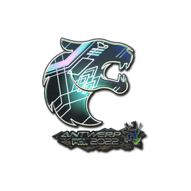 印花 | FURIA(全息)| 2022年安特卫普锦标赛