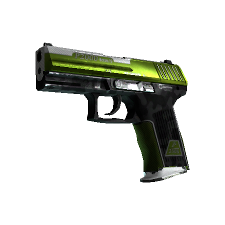P2000 | 草皮 (久经沙场)