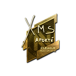 印花 | xms(金色)| 2018年波士顿锦标赛