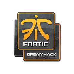 印花 | Fnatic | 2014年 DreamHack 锦标赛