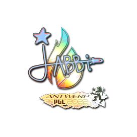 印花 | jabbi(全息) | 2022年安特卫普锦标赛