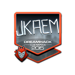 印花 | jkaem(闪亮)| 2015年卢日-纳波卡锦标赛