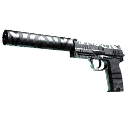 USP 消音版(StatTrak™) | 黑水 (略有磨损)