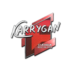印花 | karrigan | 2018年波士顿锦标赛