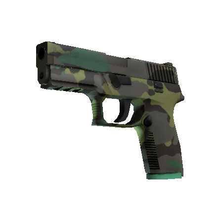 P250 | 北方森林