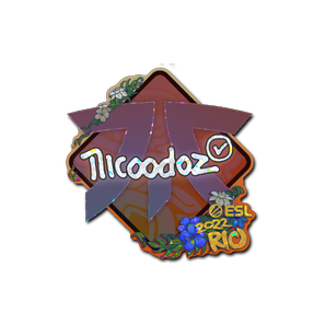 印花 | nicoodoz(闪耀)| 2022年里约热内卢锦标赛