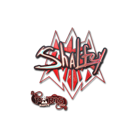 印花 | shalfey(全息)| 2023年巴黎锦标赛