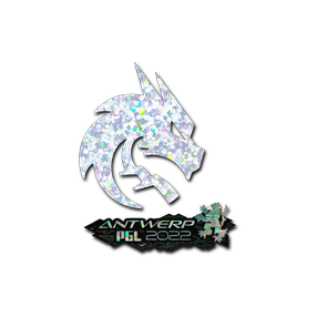 印花 | Team Spirit(闪耀)| 2022年安特卫普锦标赛