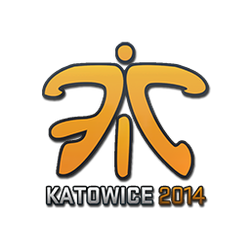 印花 | Fnatic | 2014年卡托维兹锦标赛