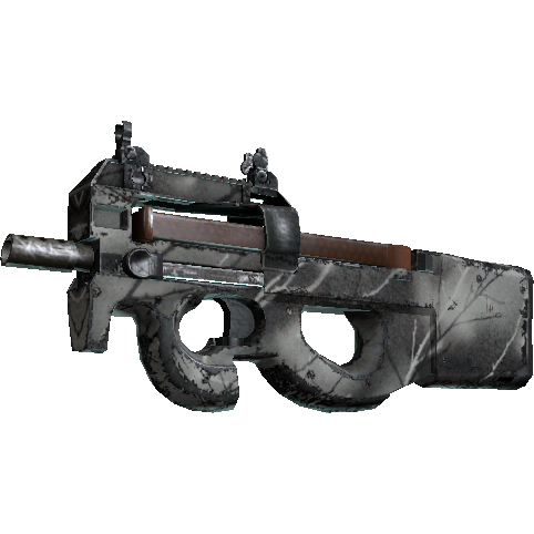 P90 | 白蜡木 (久经沙场)