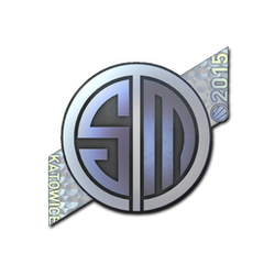 印花 | TSM Kinguin(全息)| 2015年卡托维兹锦标赛