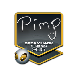 印花 | Pimp | 2015年卢日-纳波卡锦标赛