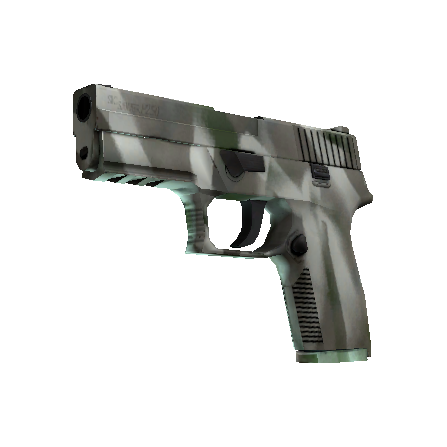 P250(纪念品) | 骸骨外罩