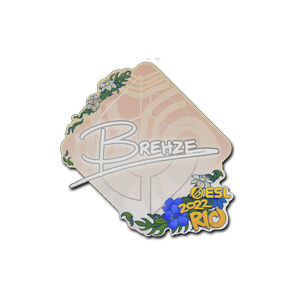 印花 | Brehze | 2022年里约热内卢锦标赛