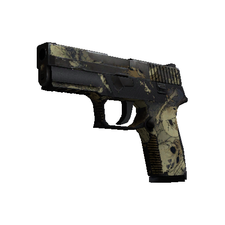 P250 | 核子污染 (战痕累累)