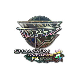 印花 | Twistzz(全息,冠军) | 2022年安特卫普锦标赛
