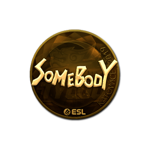 印花 | somebody(金色)| 2019年卡托维兹锦标赛