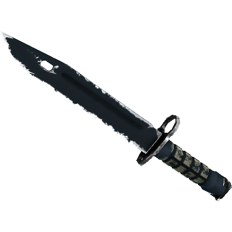 刺刀(★ StatTrak™) | 噩梦之夜 (久经沙场)