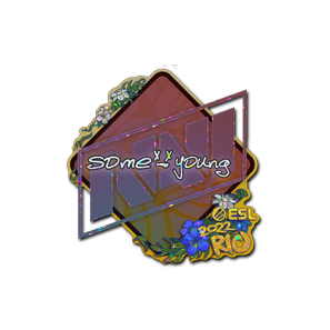印花 | sdy(闪耀)| 2022年里约热内卢锦标赛