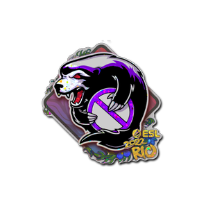 印花 | Outsiders(闪耀)| 2022年里约热内卢锦标赛