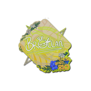 印花 | Brollan | 2022年里约热内卢锦标赛