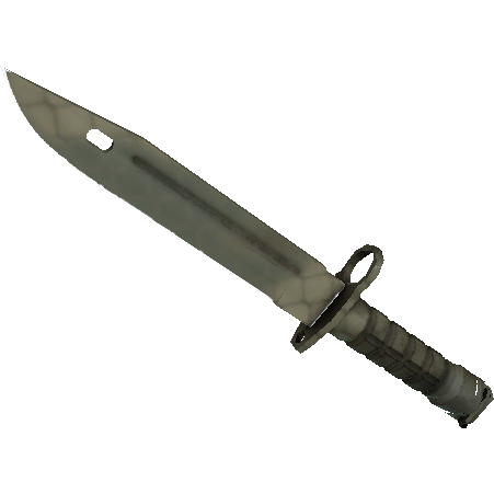 刺刀(★ StatTrak™) | 狩猎网格 (略有磨损)