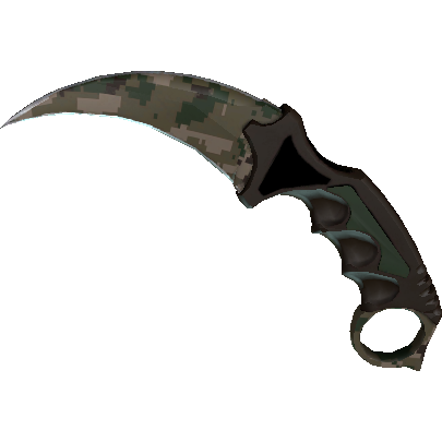 爪子刀(★ StatTrak™) | 森林 DDPAT (略有磨损)