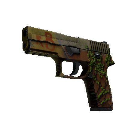 P250(StatTrak™) | 炼狱小镇 (战痕累累)