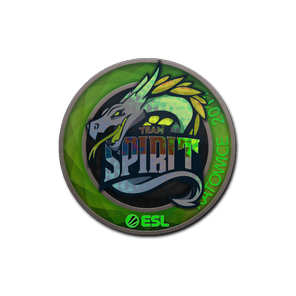 印花 | Team Spirit(全息)| 2019年卡托维兹锦标赛