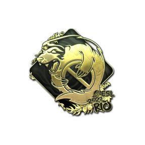 印花 | Outsiders(金色)| 2022年里约热内卢锦标赛