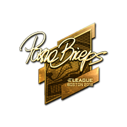 印花 | pashaBiceps(金色)| 2018年波士顿锦标赛