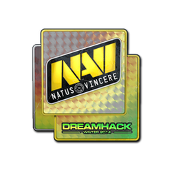 印花 | Natus Vincere(全息)| 2014年 DreamHack 锦标赛