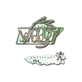 印花 | WOOD7(全息)| 2022年安特卫普锦标赛