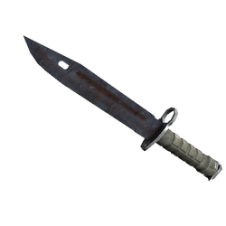 刺刀(★ StatTrak™) | 外表生锈 (破损不堪)