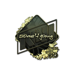 印花 | sdy(金色)| 2022年里约热内卢锦标赛