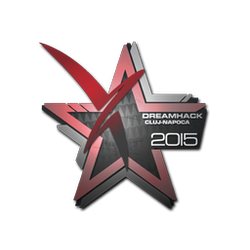 印花 | Vexed Gaming | 2015年克卢日-纳波卡锦标赛
