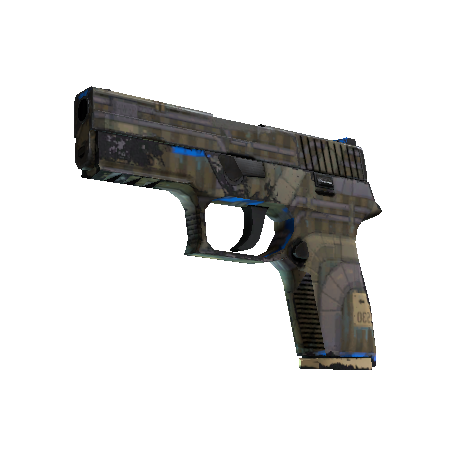 P250(纪念品) | 交换机 (久经沙场)
