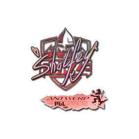 印花 | shalfey(全息) | 2022年安特卫普锦标赛