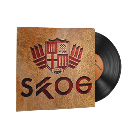 音乐盒(StatTrak™) | Skog - 金属
