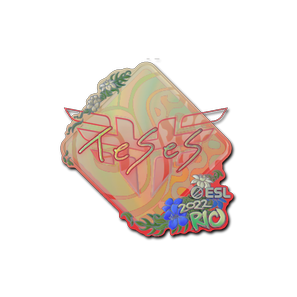 印花 | TeSeS(全息)| 2022年里约热内卢锦标赛