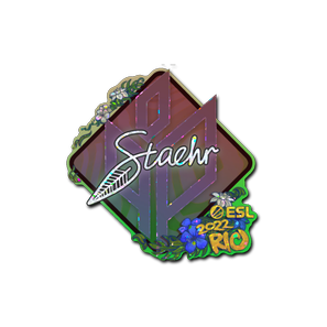 印花 | Staehr(闪耀)| 2022年里约热内卢锦标赛
