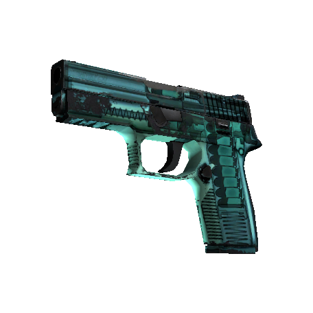 P250 | X 射线 (久经沙场)