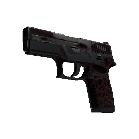 P250(StatTrak™) | 污染物 (战痕累累)