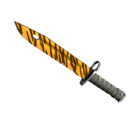 刺刀(★ StatTrak™) | 虎牙 (略有磨损)